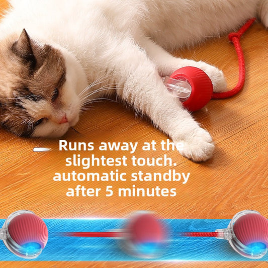 pet toy ball