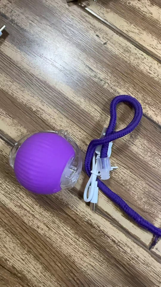 pet toy ball