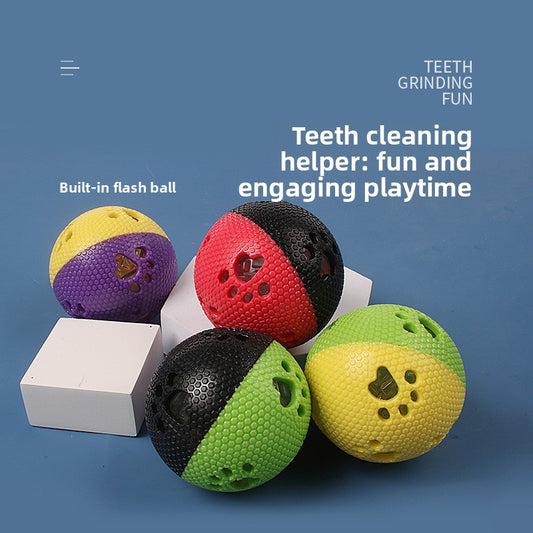 Pet toy ball