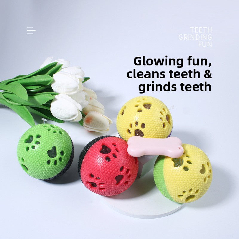 Pet toy ball