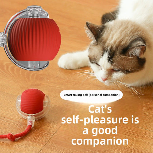 pet toy ball