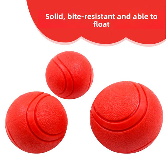 Pet Toy Ball