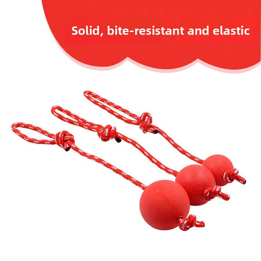 Pet Toy Ball