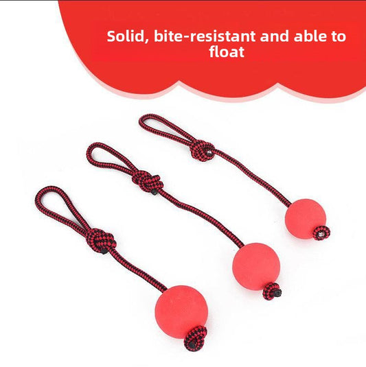 Pet Toy Ball
