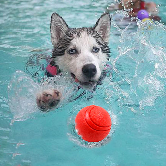 Pet Toy Ball