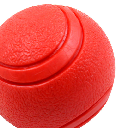 Pet Toy Ball