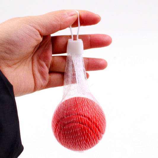 Pet Toy Ball