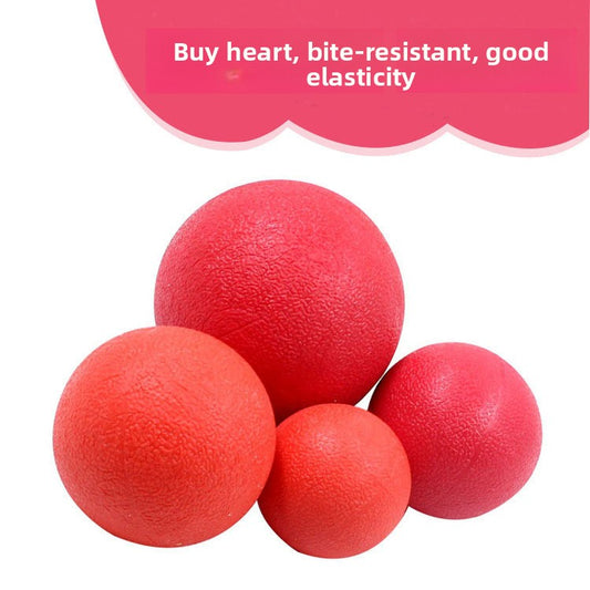 Pet Toy Ball