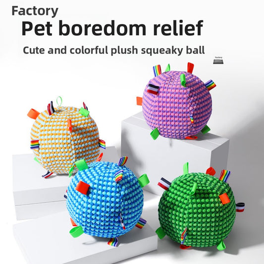 Pet Toy Ball
