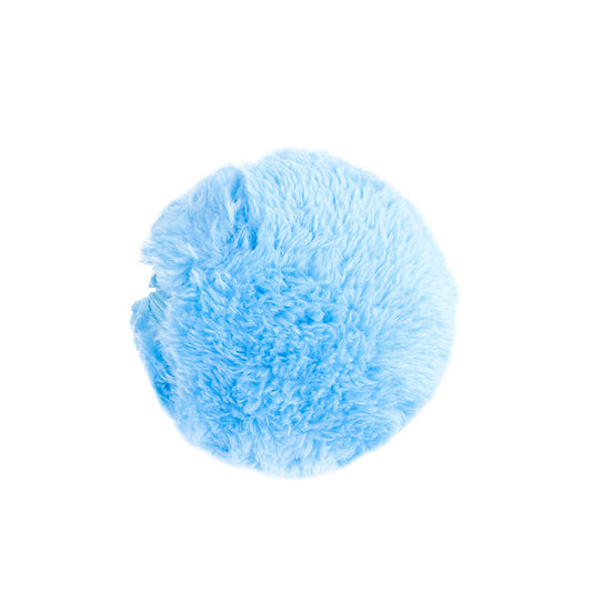 Pet Toy Ball