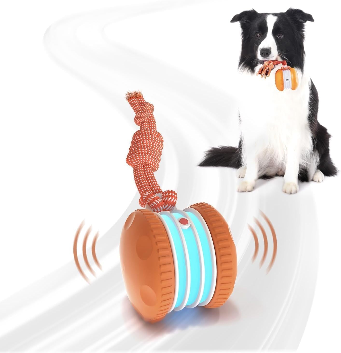 Pet Toy Ball