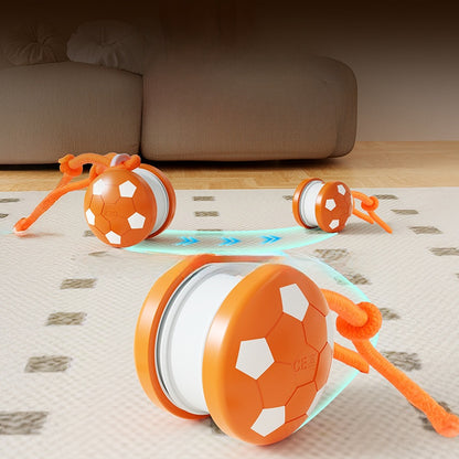 Pet Toy Ball