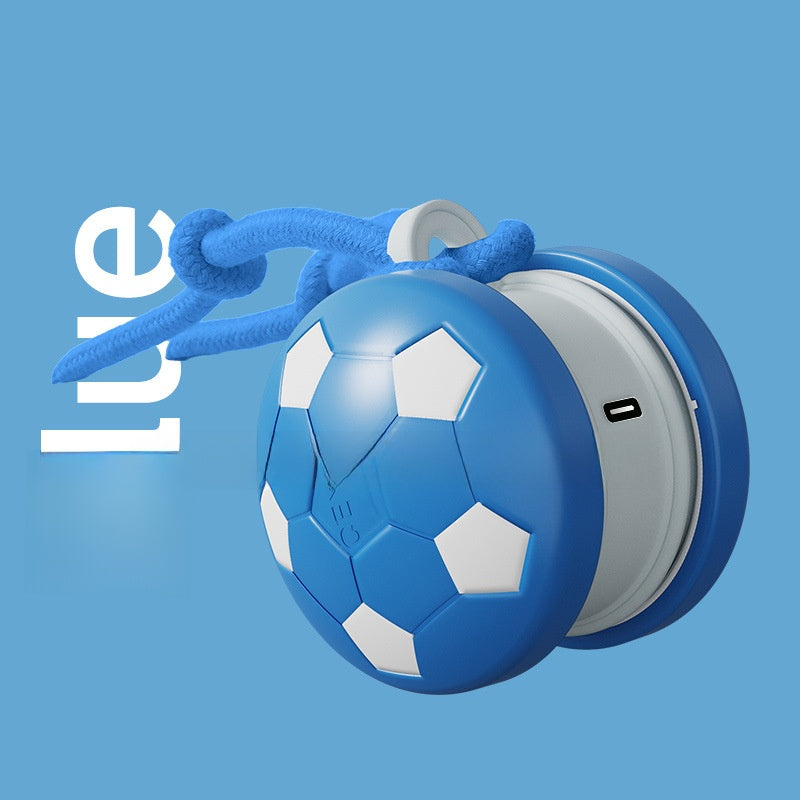 Pet Toy Ball