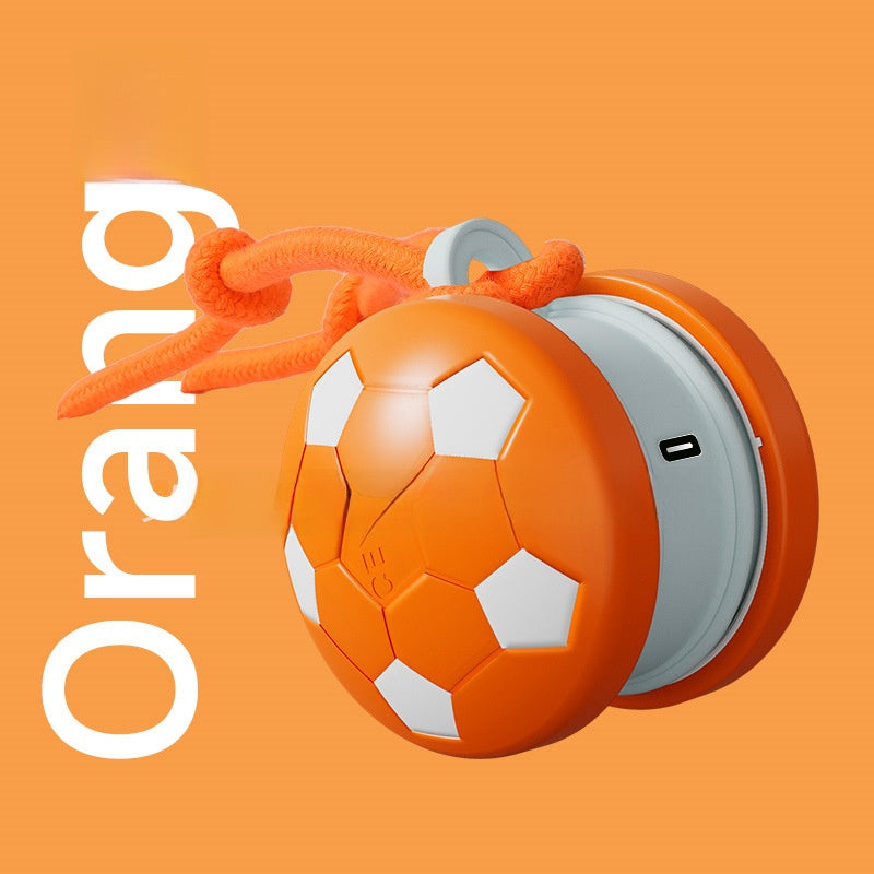 Pet Toy Ball