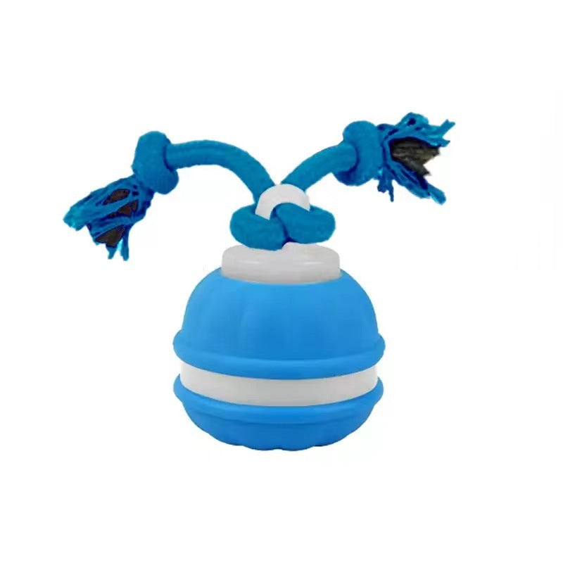 Pet Toy Ball