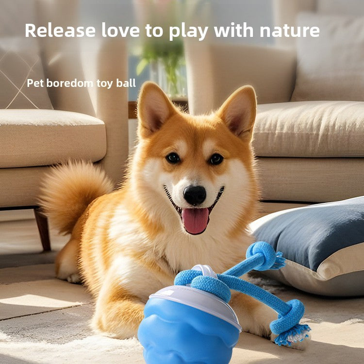 Pet toy bouncy ball