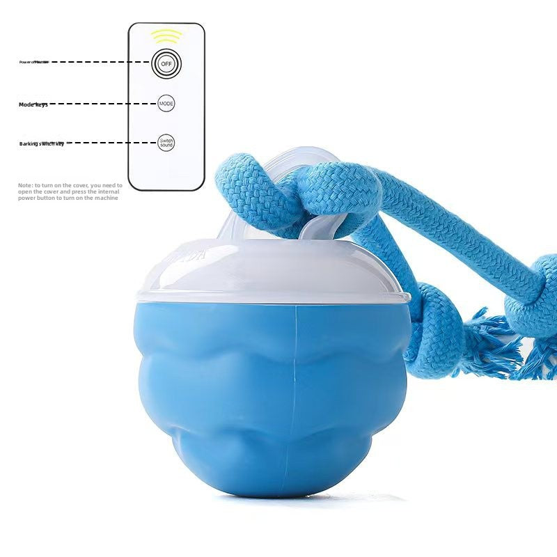 Pet toy bouncy ball