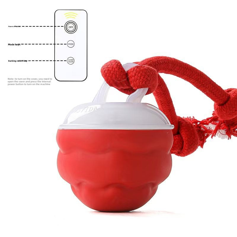 Pet toy bouncy ball