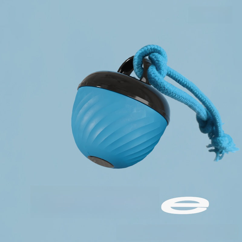Pet toy bouncy ball