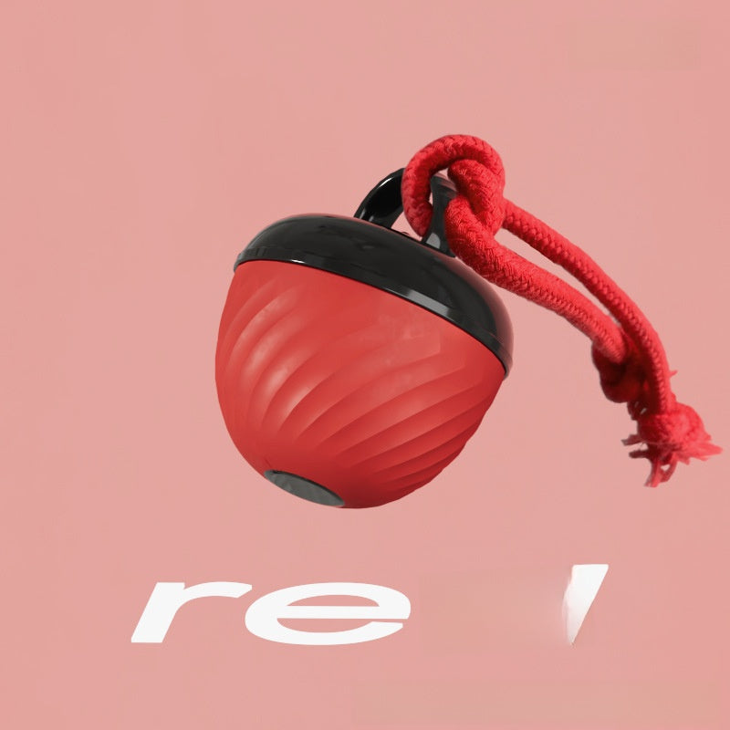 Pet toy bouncy ball