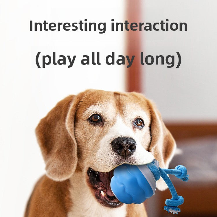 Pet toy bouncy ball