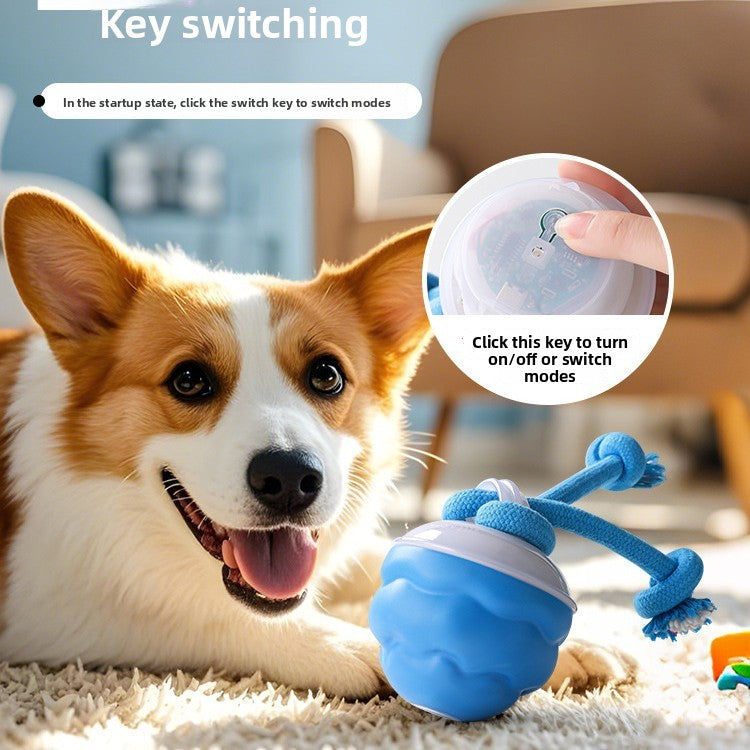 Pet toy bouncy ball