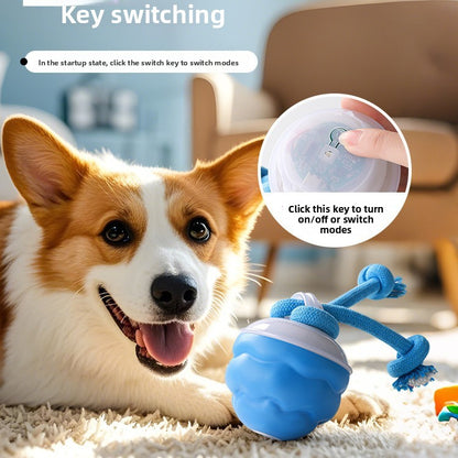 Pet toy bouncy ball
