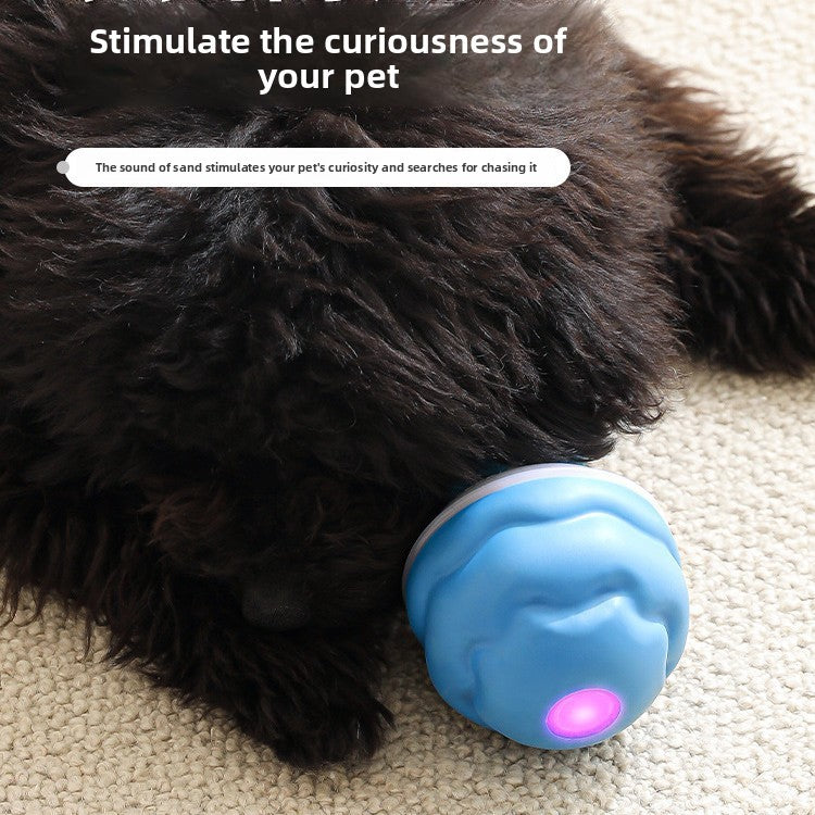 Pet toy bouncy ball