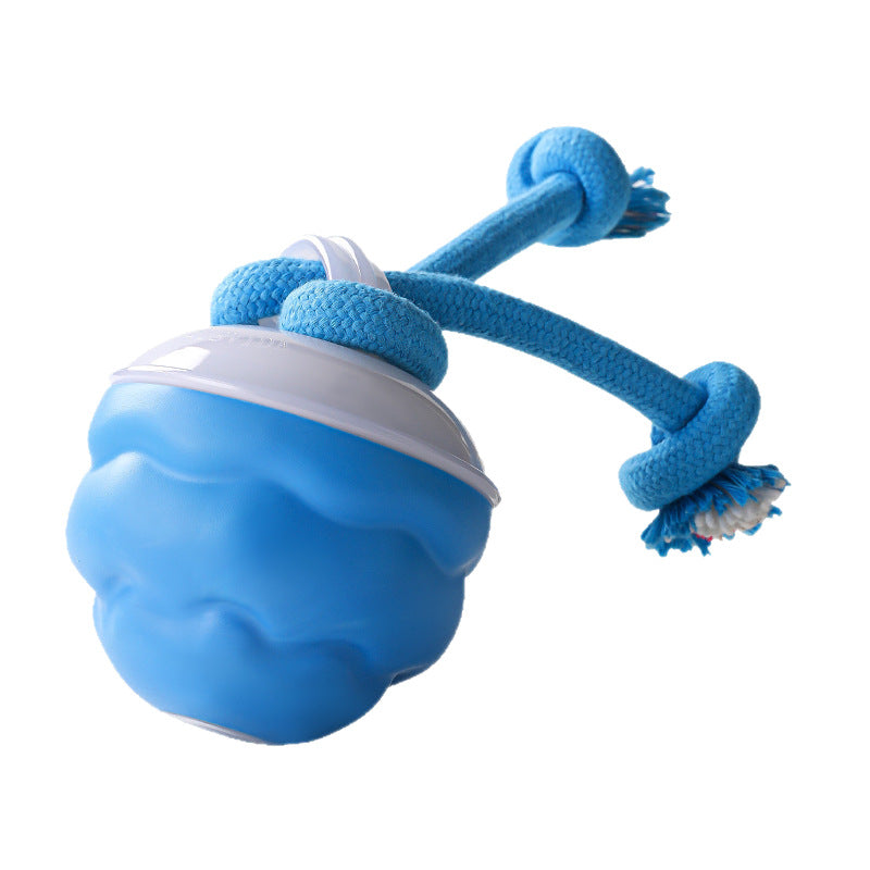 Pet toy bouncy ball
