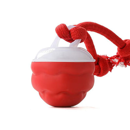 Pet toy bouncy ball