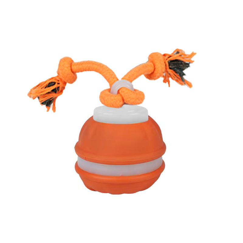 Pet toy bouncy ball