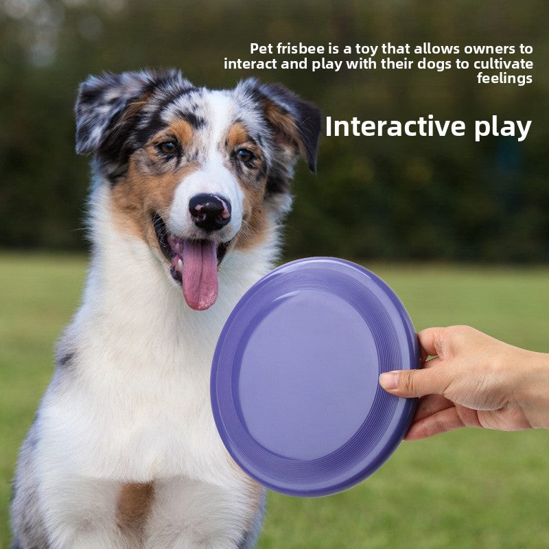Pet Toy Dog Frisbee