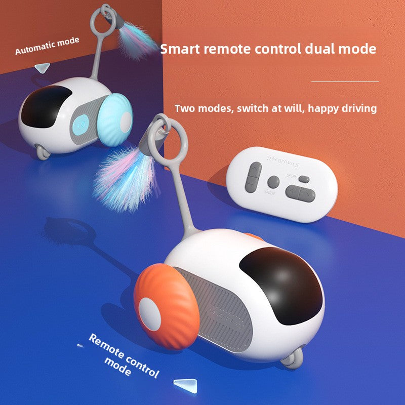 Pet toy