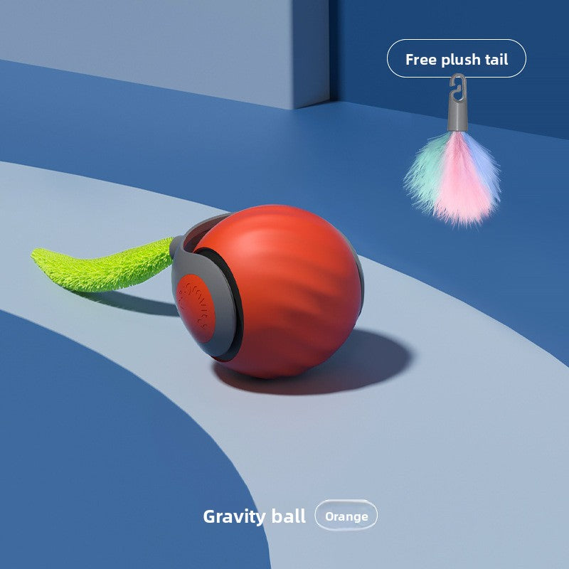 Pet toy