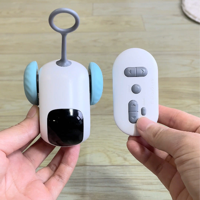 Pet toy