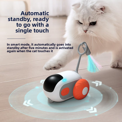 Pet toy