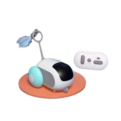 Pet toy