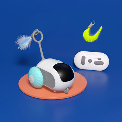 Pet toy