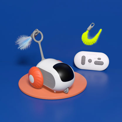 Pet toy