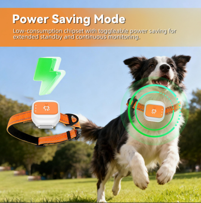 pet tracking locator