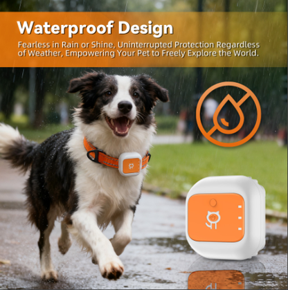 pet tracking locator