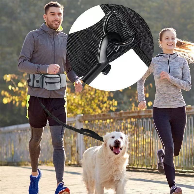 Pet Training Bag