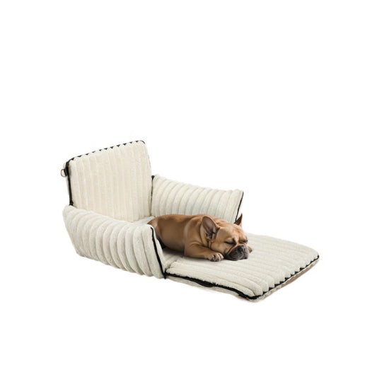 Pet Travel Carrier