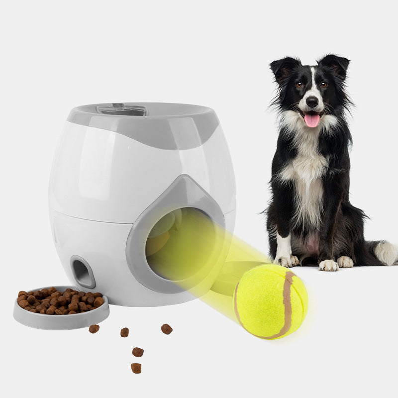 Pet Treat Dispenser