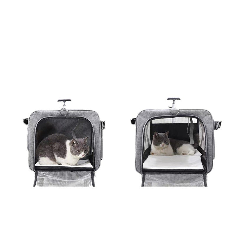 Pet trolley case