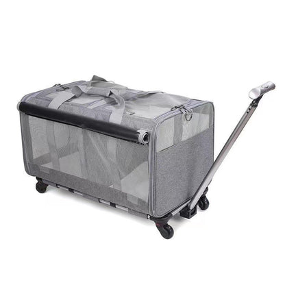 Pet trolley case