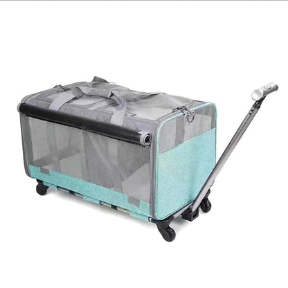 Pet trolley case