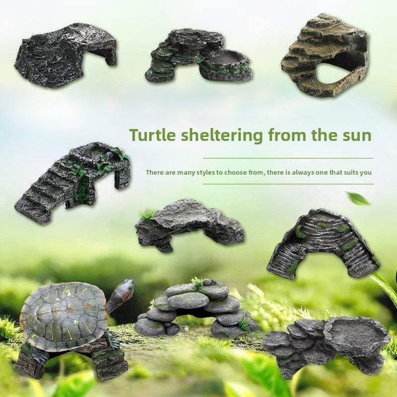 Pet turtle sun terrace