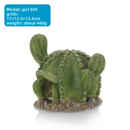 Pet turtle sun terrace
