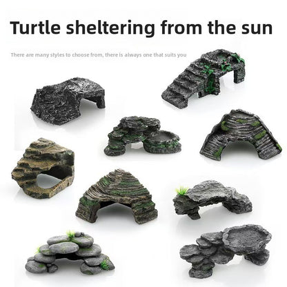 Pet turtle sun terrace